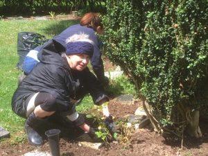 Churchyard Working Party 2